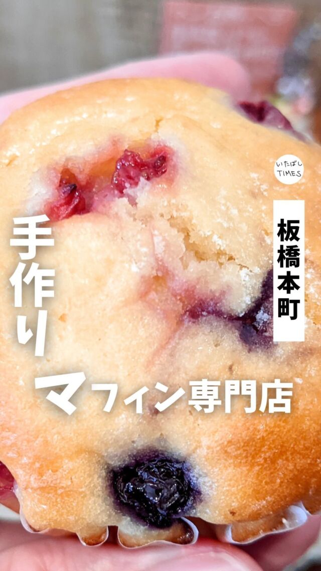 ＜みるくの木＞
———————————————
📍東京都板橋区本町32-2
🚃板橋本町駅から徒歩7分
⏰土曜のみ12:00〜18:00（※今後変更の可能性あり）
※営業時間・定休日・メニュー・価格など変更している可能性があります。最新情報はお店で直接、または公式情報でご確認ください。
———————————————

オープンしたのは2024年2月24日。

店主さんと娘さんのお二人で運営されています。
現在は土曜日のみ営業。（今後変更の可能性あり）

マフィンは健康を意識した素材で、バターを使わずに米油、砂糖はグラニュー糖を使わずキリ砂糖などを使っているという。

お店の名前は、生後間もない状態で拾った子猫の名前「みるく」から取ったのだとか。

●紹介したメニュー
・お好きなマフィン２つとドリンクセット（880円）
（ベリーベリーマフィン、ツナコーンとプチトマトのマフィン、アイスコーヒー）

=================================

このアカウントでは、板橋に特化したグルメ情報をメインに発信！

@itabashi.times

=================================

#マフィン #板橋本町グルメ #手作りマフィン
#板橋グルメ #いたばしTIMES #板橋区 #東京都板橋区 #板橋 #東京グルメ